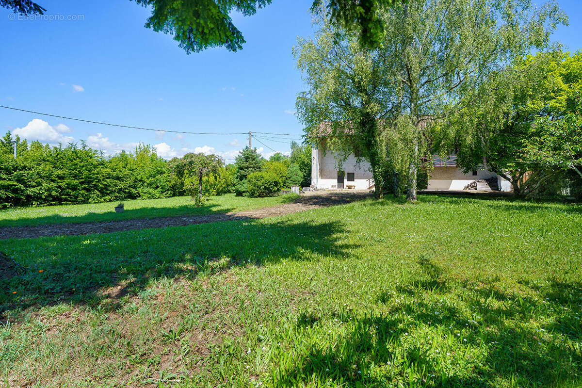 Maison Cormoranche Sur Saone 4 pièces 110 m2 - photo 3