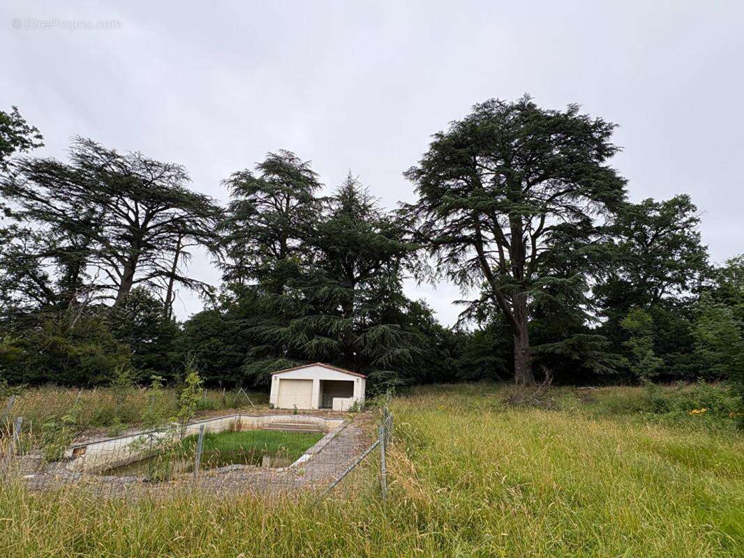 Propriété d'Exception : Le charme néo-classique proche de Sauveterre de Guyenne - photo 5