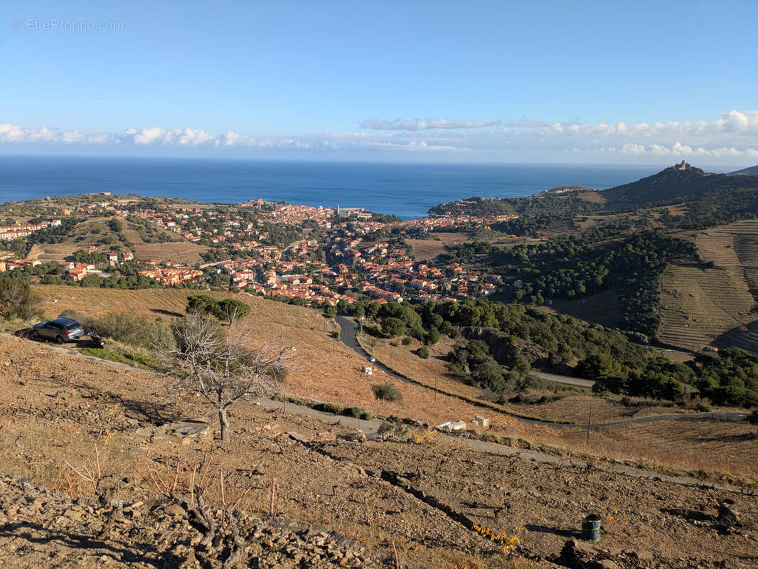 Terrain à COLLIOURE