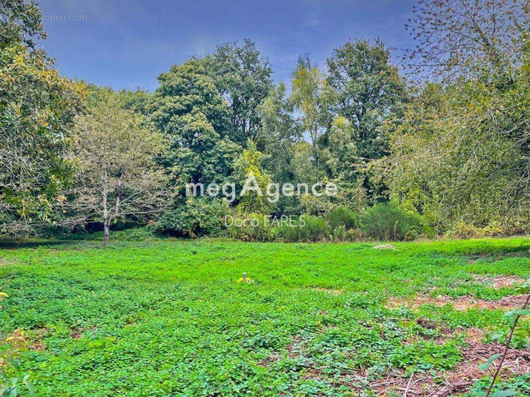 ** Terrain de 2003 m² à bâtir et construire sur Marcoussis** - photo 5