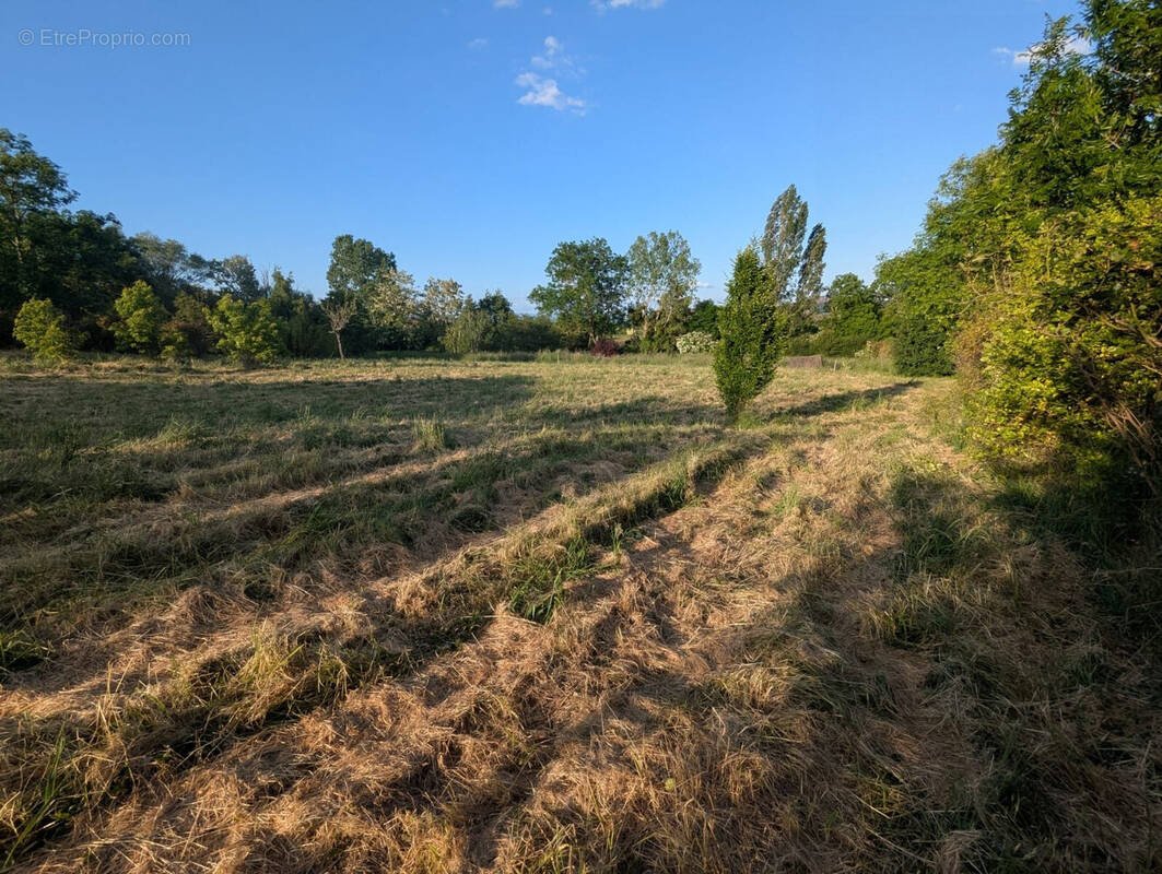 Terrain à MARCILLY-LE-CHATEL