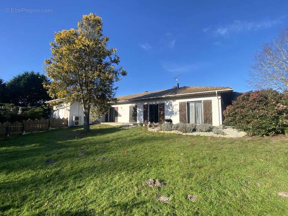 Maison 480 m² à Saint-Julien-En-Born  - photo 56