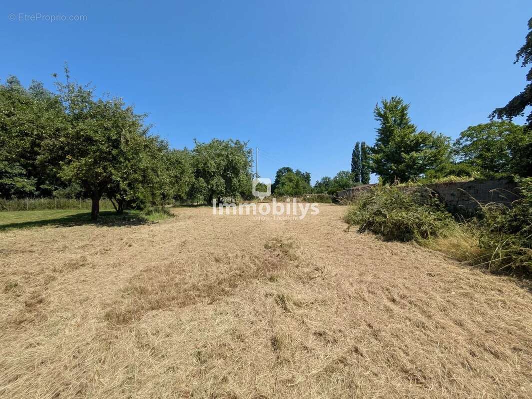Terrain à SARS-ET-ROSIERES