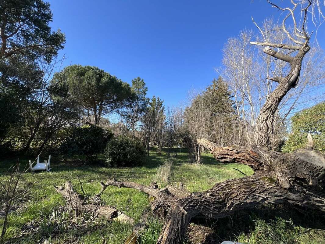 Maison à SAINT-MAXIMIN-LA-SAINTE-BAUME