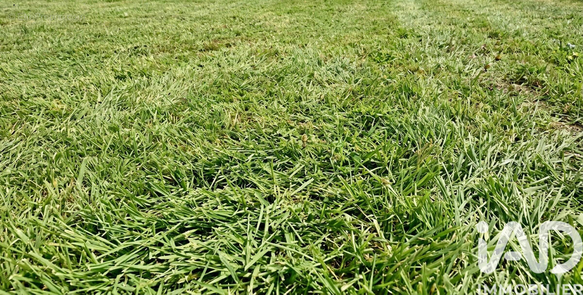 Photo 1 - Terrain à SAINT-REMY