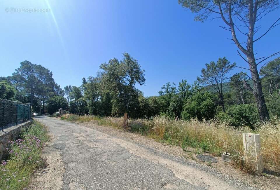 Terrain à LE THORONET