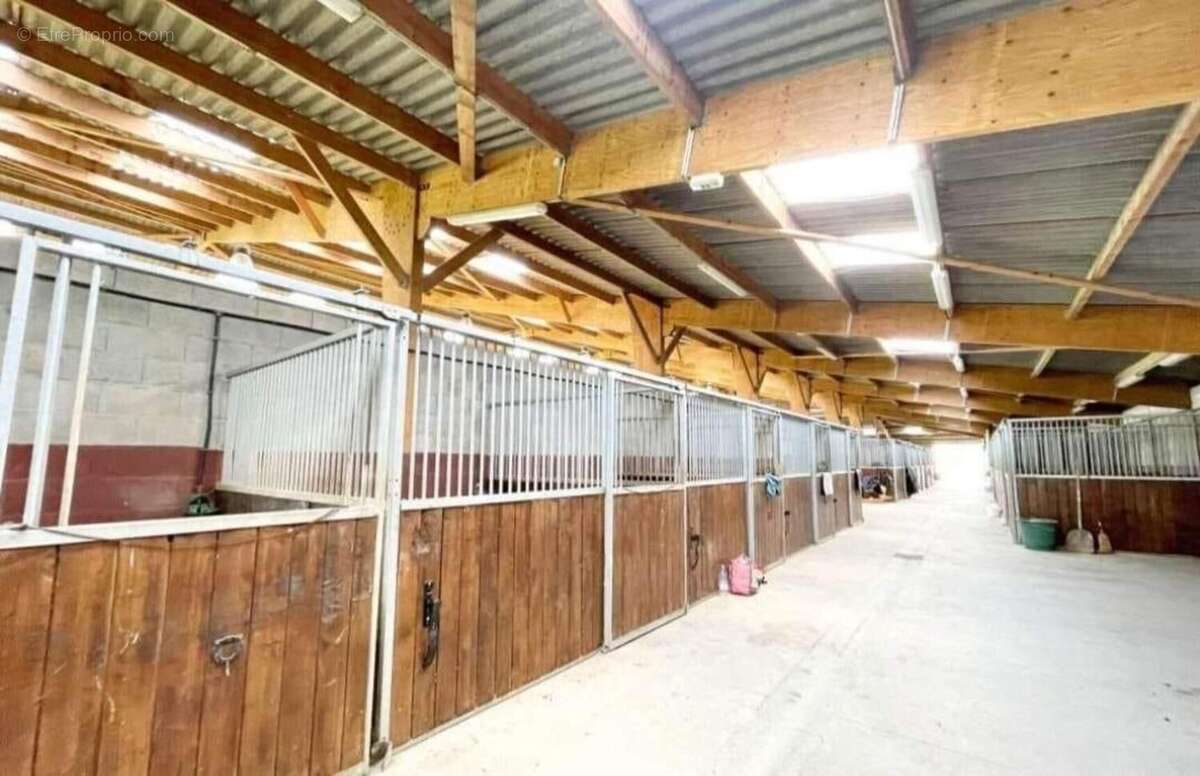 Photo 4 - Maison à VILLENEUVE-SUR-LOT