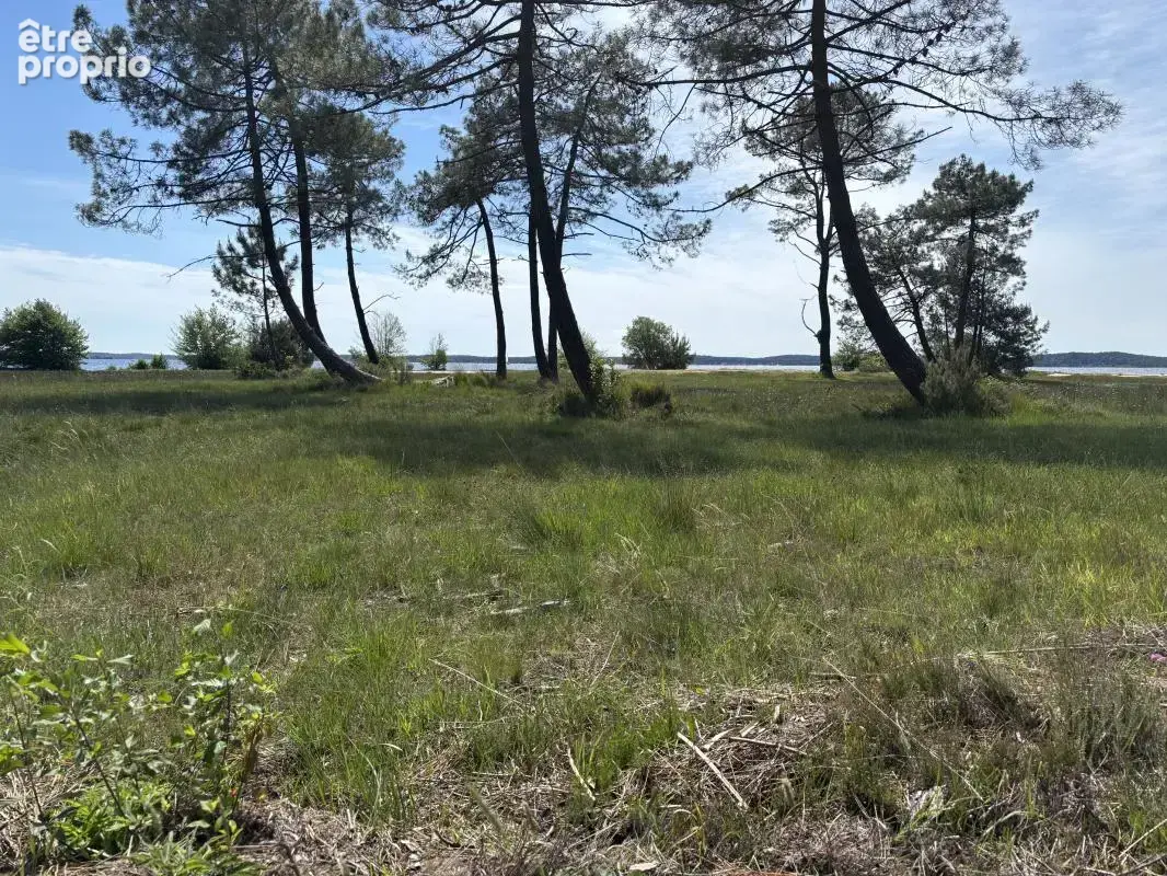 Terrain à LACANAU