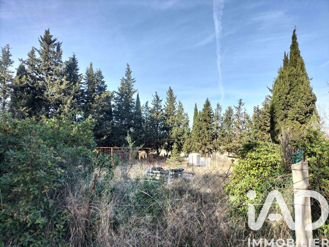 Photo 5 - Maison à NEVIAN