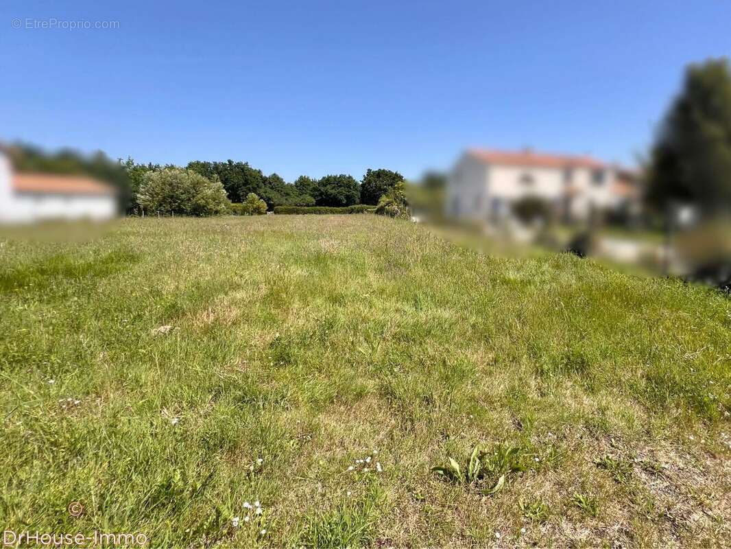 Terrain 2040 m² à Pornic  - photo 2