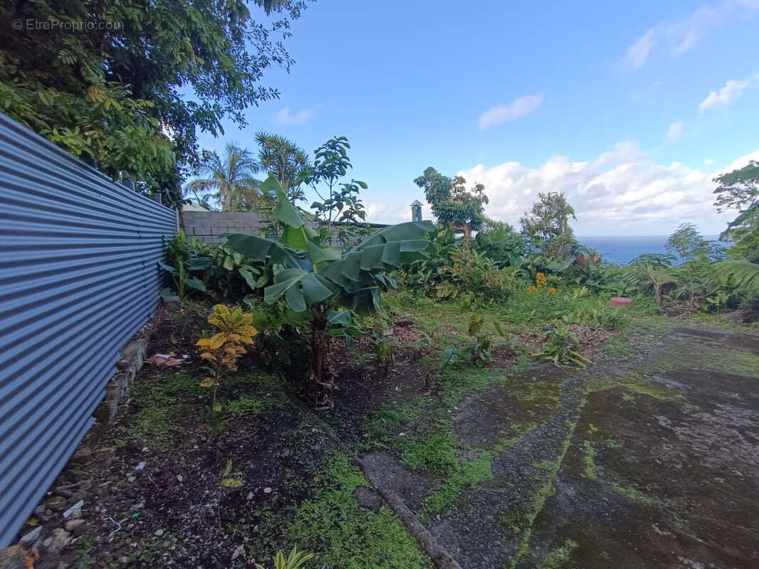 Maison à SAINTE-ROSE