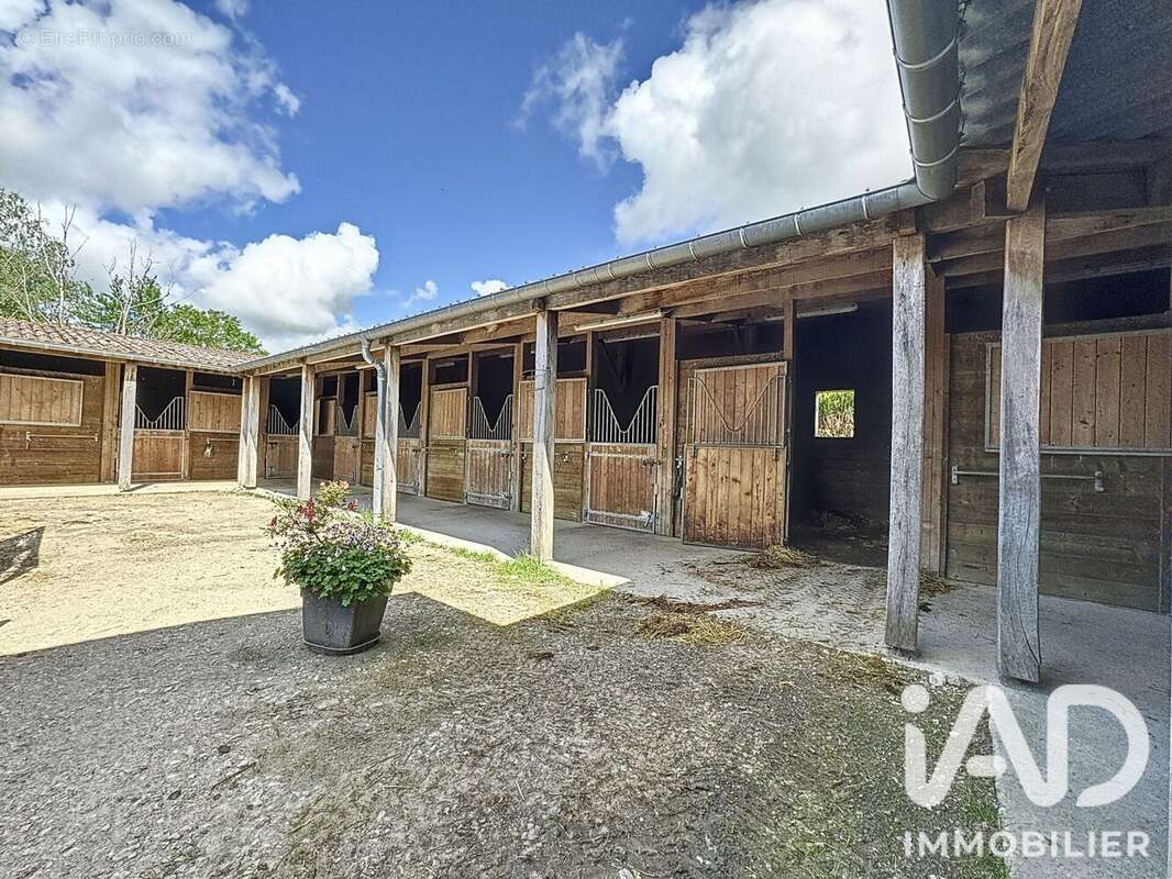 Commerce 800 m² à Villers-En-Argonne  - photo 3