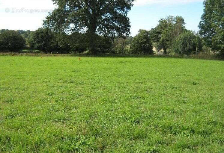 Terrain à GIBERVILLE