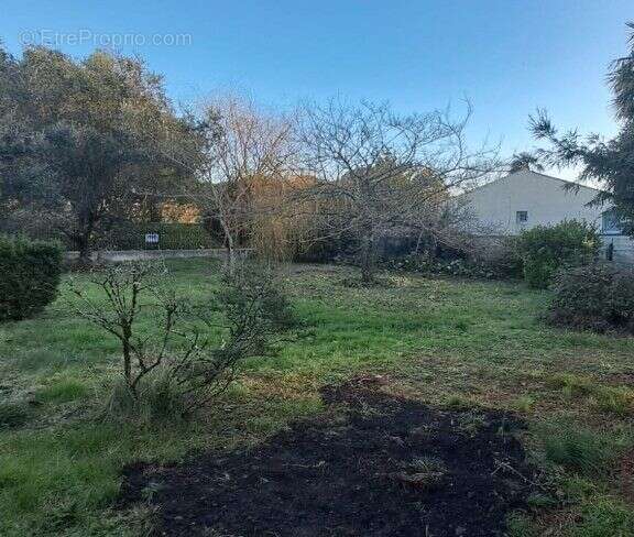 Terrain à BREUILLET