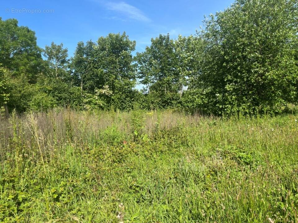 Terrain à LAMOTTE-BULEUX