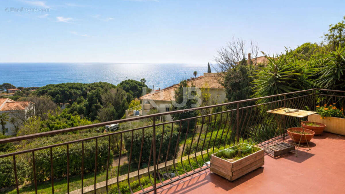 Miomo - Propriété de caractère avec vue mer, piscine et fort potentiel - photo 2