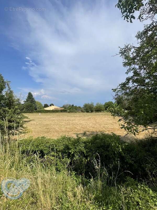 A vendre terrain constructible viabilisé de 800 m2 - Lot 3 - photo 2