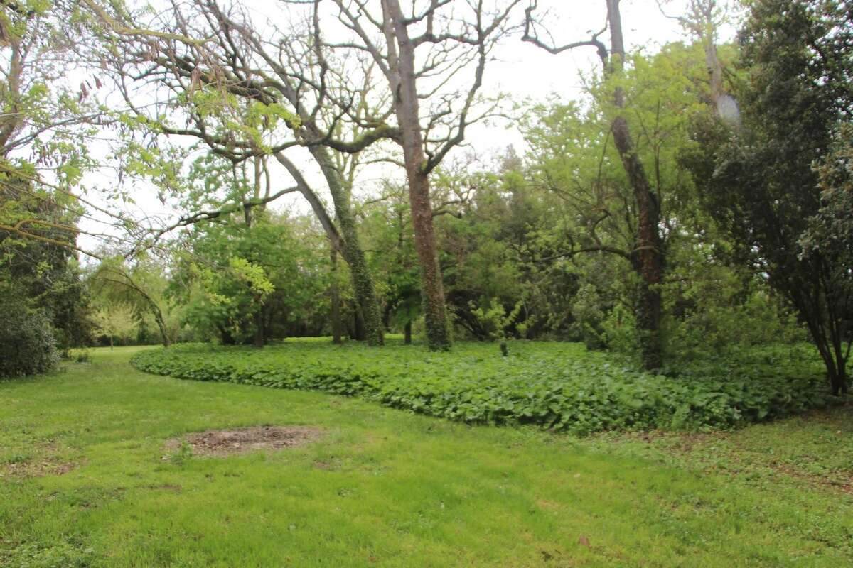 Maison à CASTELNAUDARY