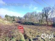 Terrain à SAINT-ANGEL