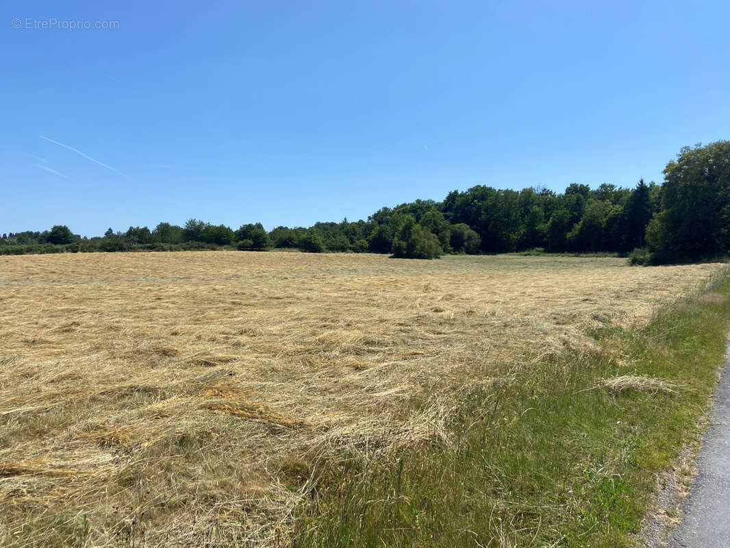 Terrain à FLAVIGNAC