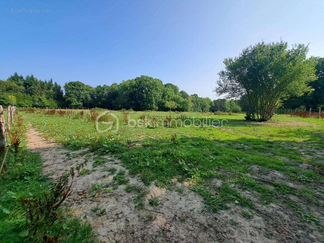 Maison à SOLIGNY-LA-TRAPPE