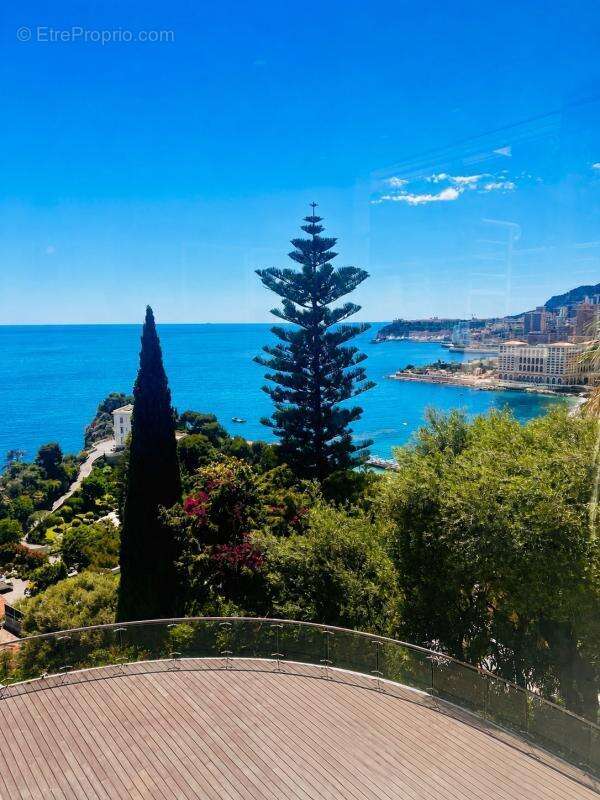 Villa - Roquebrune-Cap-Martin - 500m² - photo 5