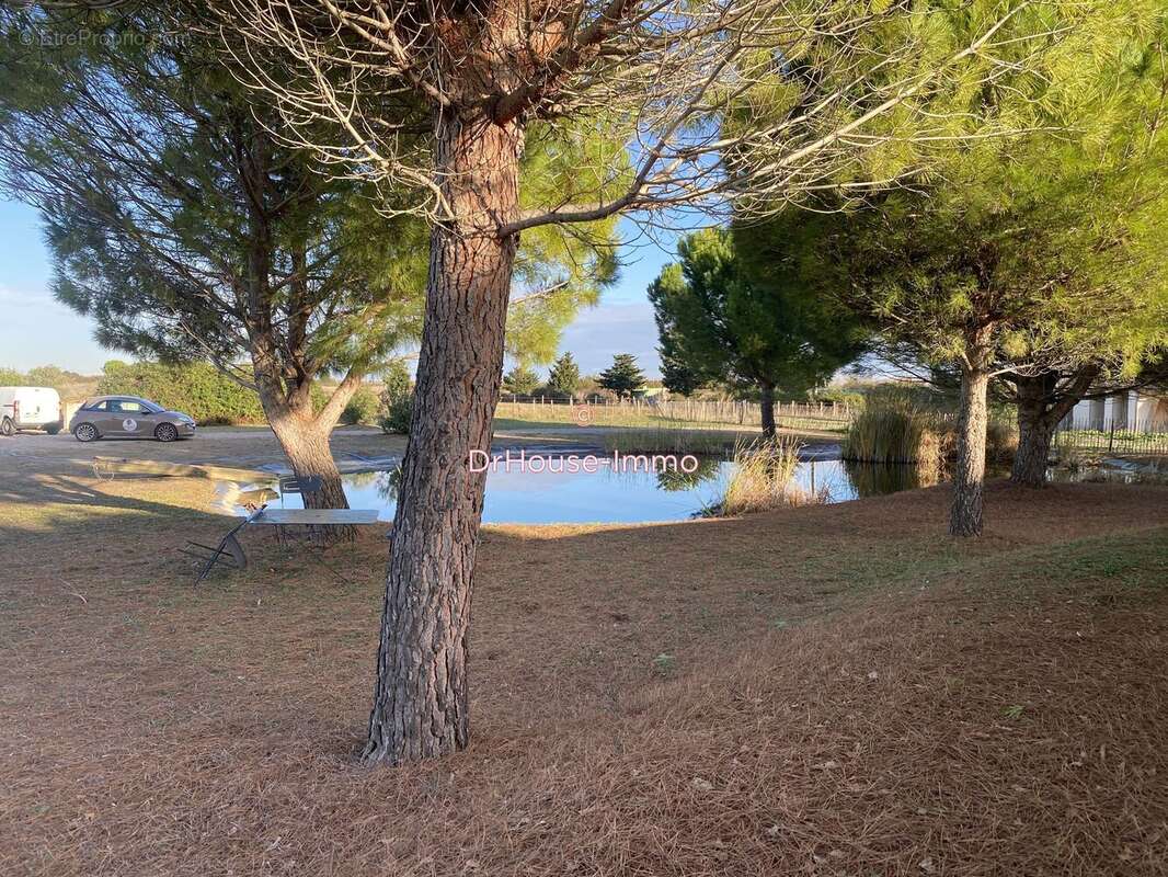 Maison à SAINT-LAURENT-D'AIGOUZE