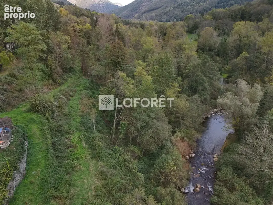 Ancien camping / 2,15 ha - prats de mollo - photo 10