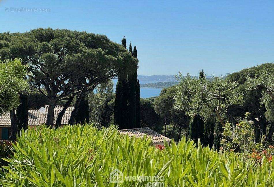 Aperçu mer sur le Golfe de Saint-Tropez depuis le jardin. - Appartement à SAINTE-MAXIME