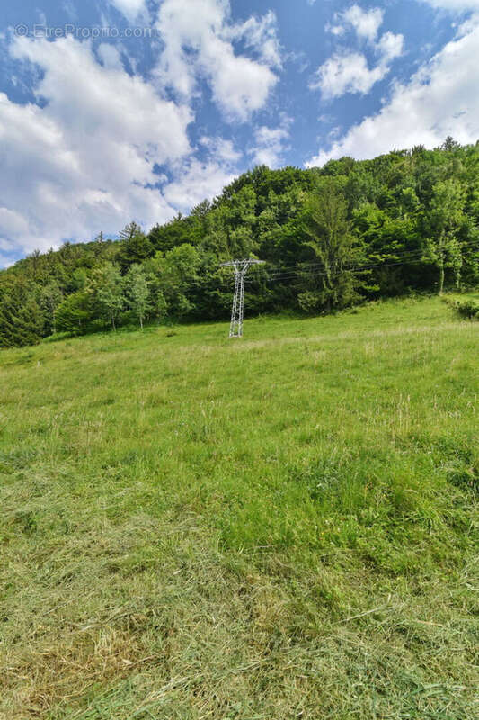 Terrain  2825 m2 crets en belledonne - s - photo 3