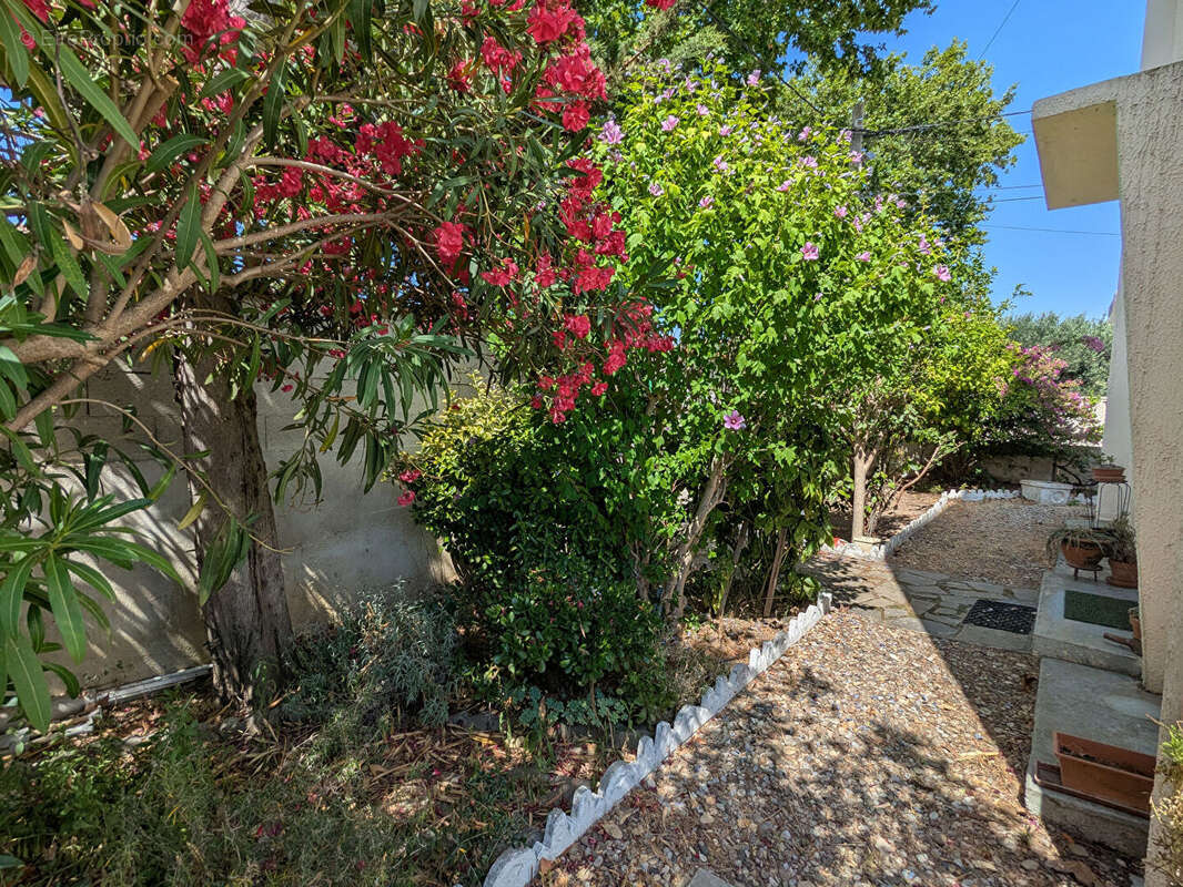 Maison à NARBONNE