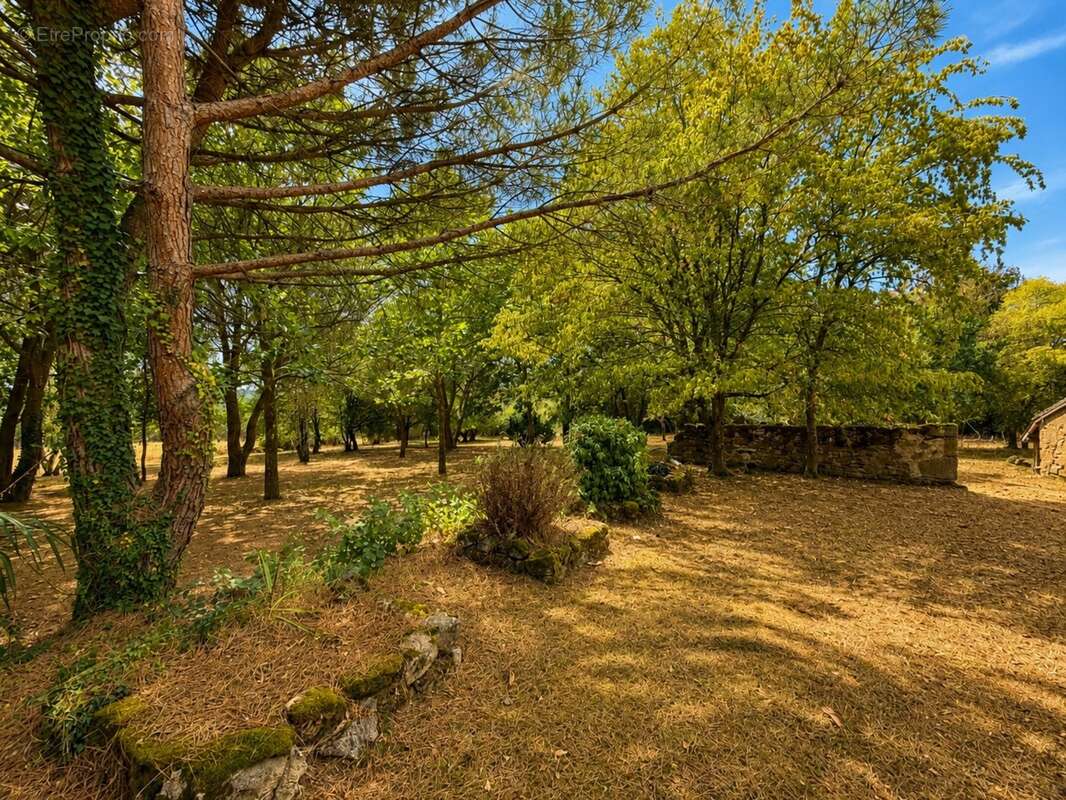 Propriété de charme, dépendances et 2 hectares de nature aux portes de la forêt de Tronçais - photo 15