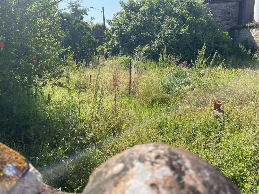 Maison à MACQUEVILLE