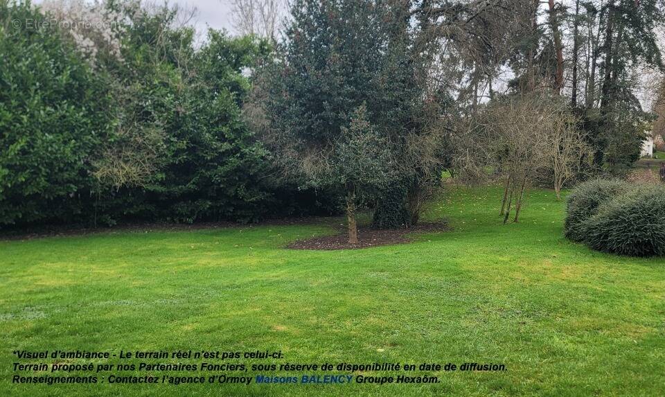 Terrain à ANGERVILLE