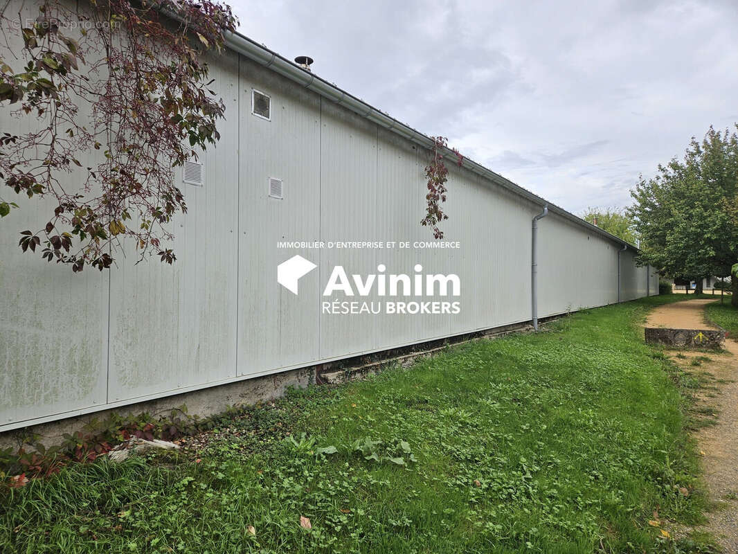 Commerce à SAINT-TRIVIER-DE-COURTES