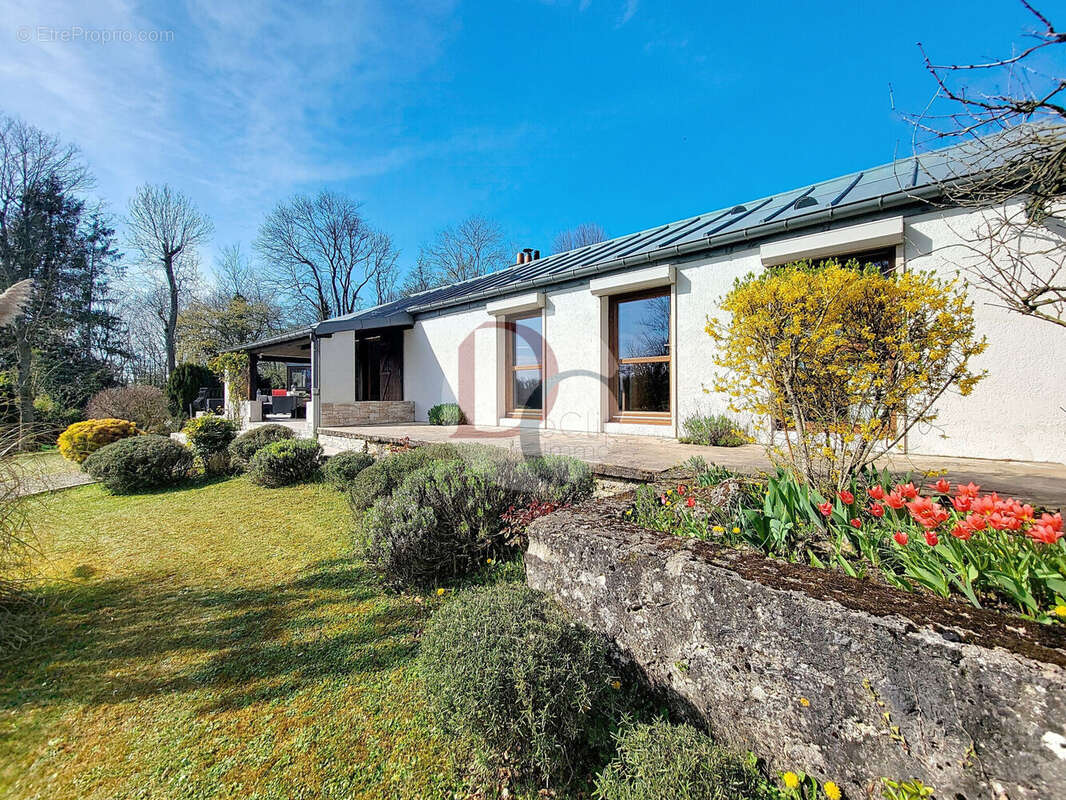 Photo 4 - Maison à SENLIS