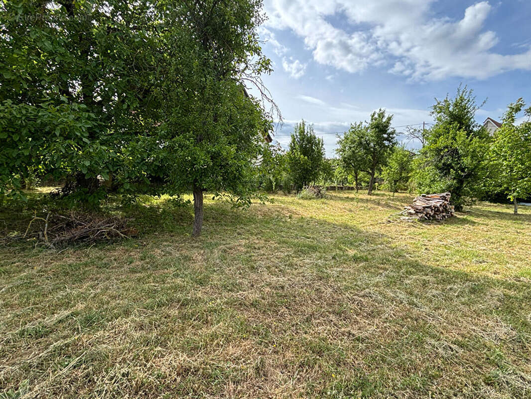 Terrain à BERNARDSWILLER