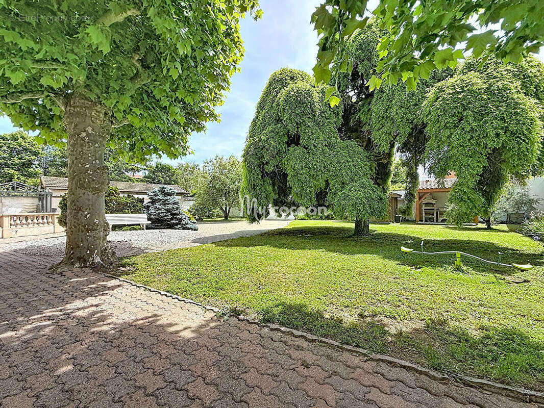 Maison à MIRIBEL