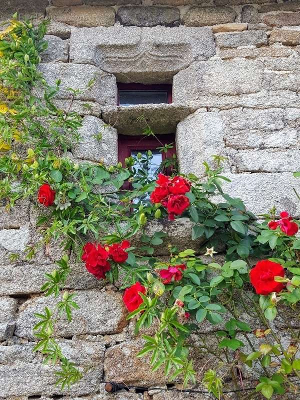Propriété de 2 bâtisses Morbihan - photo 8