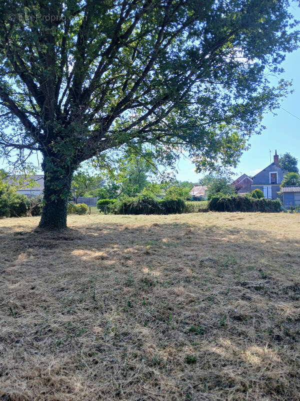 Maison 75 m² à La Guerche-Sur-L'aubois  - photo 9
