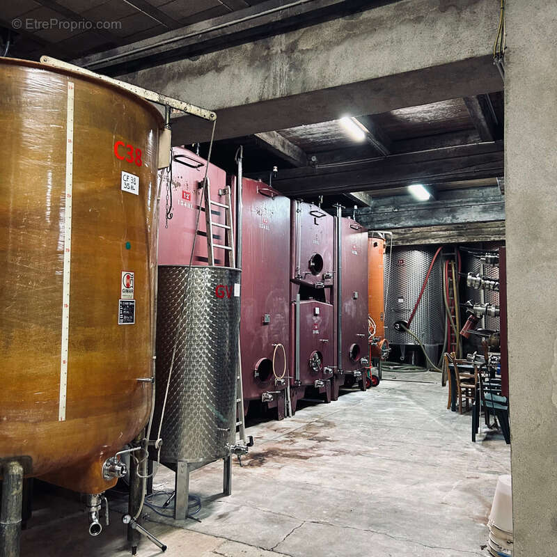 Propriete viticole bio AOP Faugères à vendre  ROQUESSELS (34) 9,8ha de vignes 28ha de landes caves 572m² - photo 9