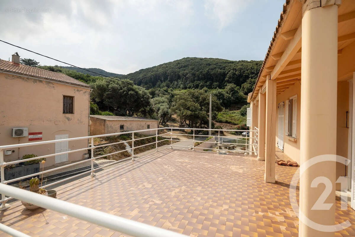 Maison 226 m² à Morsiglia  - photo 4