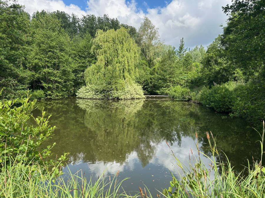 Terrain à SAINT-AMAND-LES-EAUX