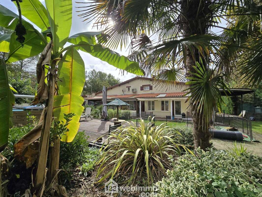 Le tout sur 2400 m² + 7800 m² déjà loué - Maison à LE PIAN-MEDOC