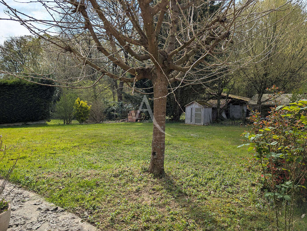 Maison à MONTRACOL