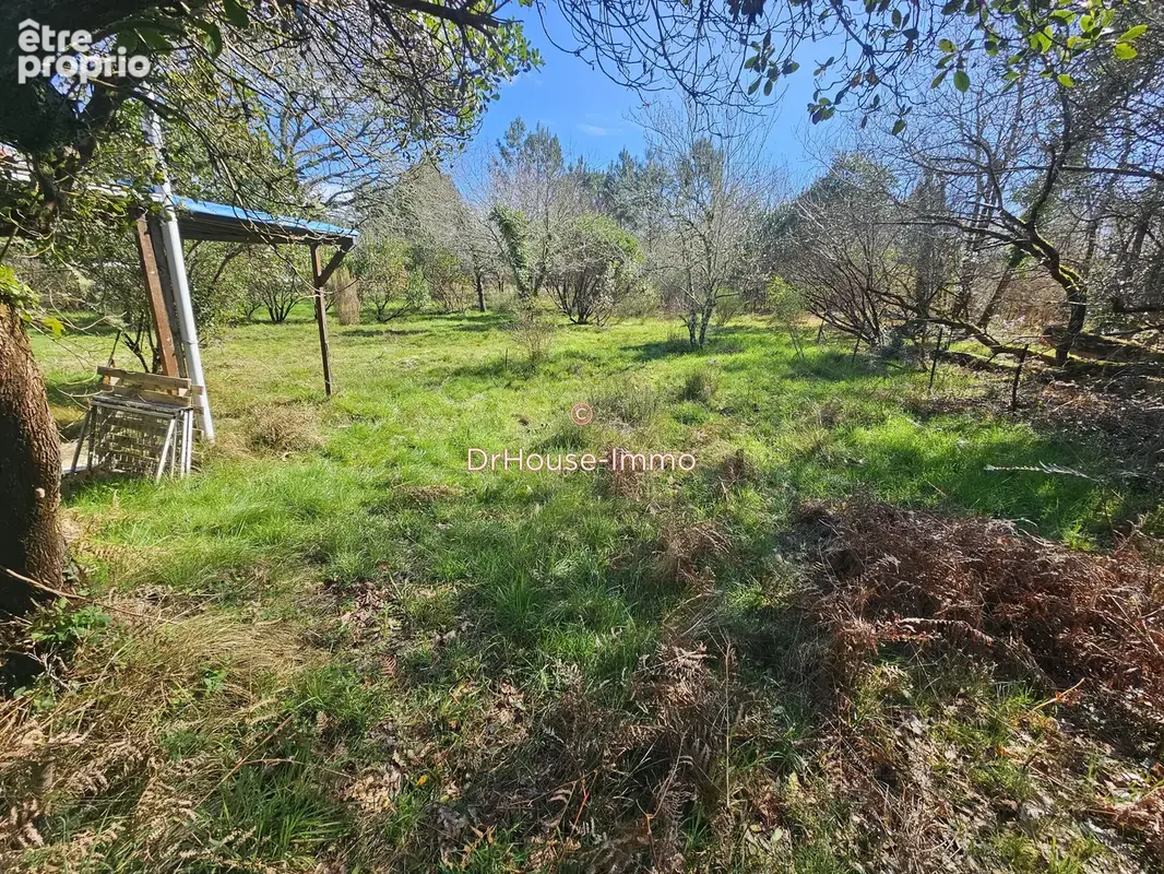 Terrain 5 009 m² à vendre à Gastes (40160) - photo 4