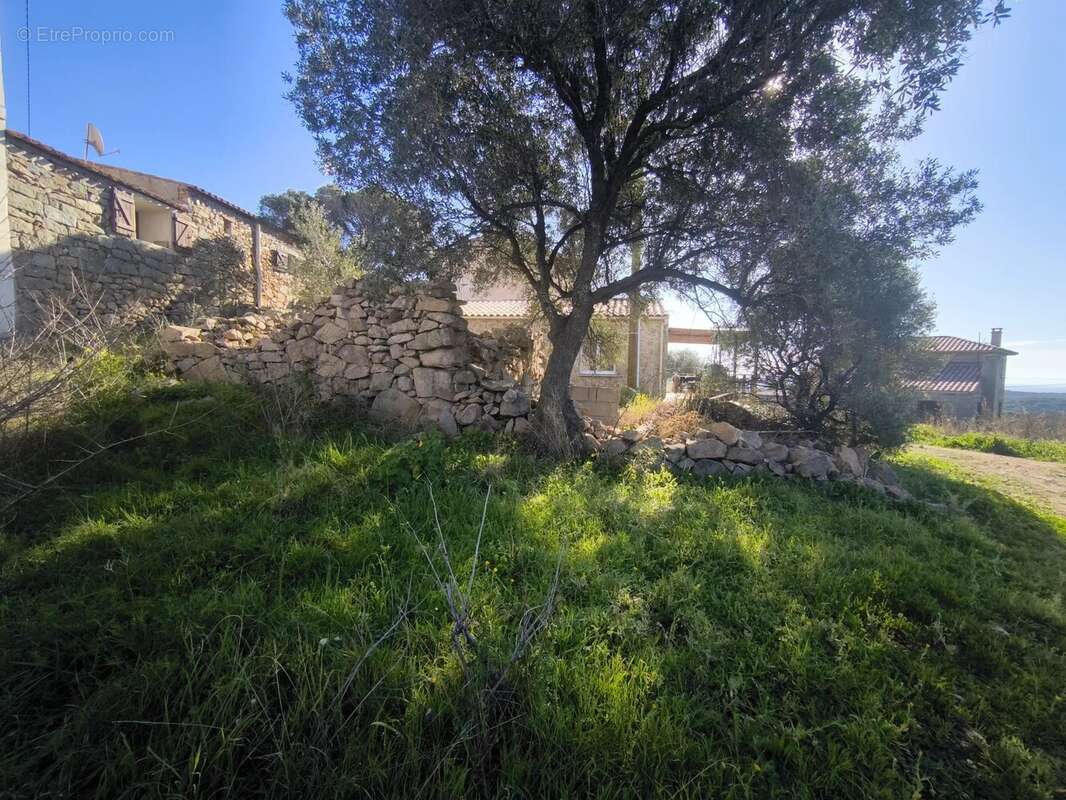 Terrain à MONACIA-D&#039;AULLENE