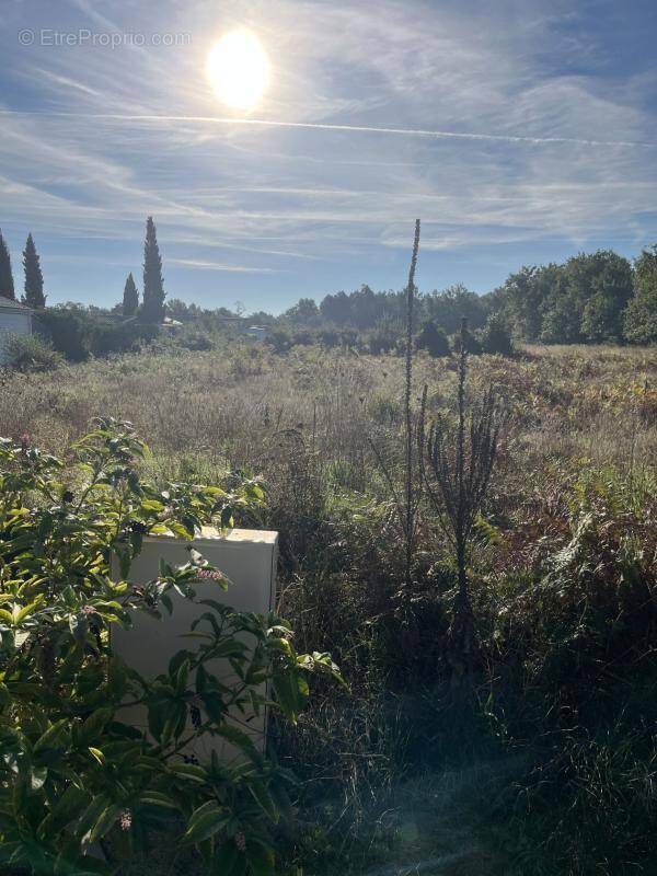 Terrain à LACANAU