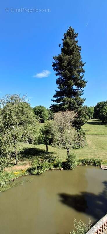Château du XVIIIème à 1h10 de Paris. Conçu pour accueillir activités professionnelles et vie familiale indépendante - photo 8