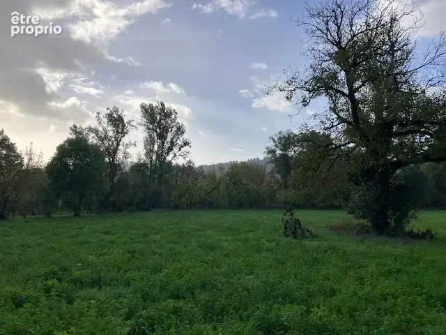 Terrain en bord de la Dordogne à Pechs-de-l'Espérance - 6370m2 - photo 10
